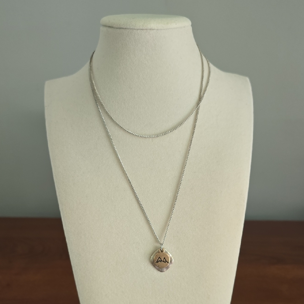 Dainty Silver Tone and Gold Tone Pendant Necklace